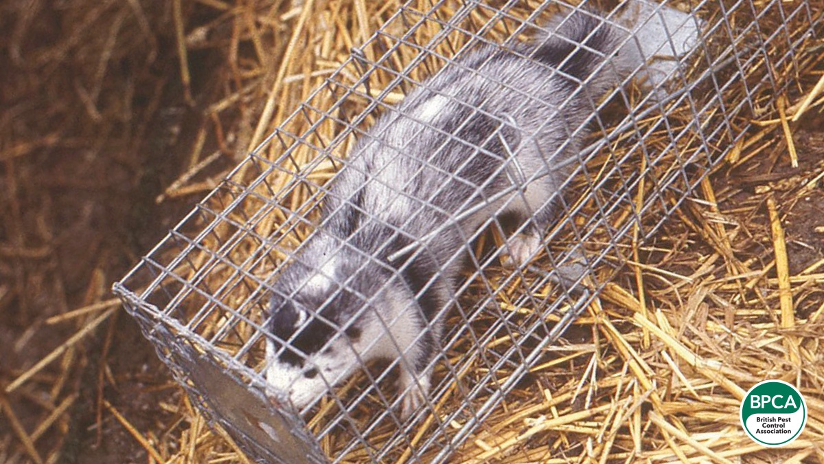 Three Decades in Wildlife Management Paul Butt image 1 Three Decades in Wildlife Management Paul Butt image 1